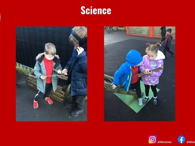 Image of Curriculum - Science - Living Things