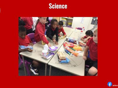 Image of Curriculum - Science - Living Things & Survival