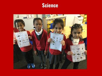 Image of Curriculum - Science - Living Things