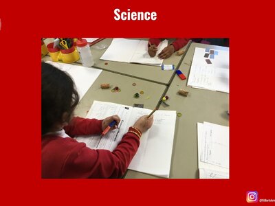 Image of Curriculum - Science - Magnets & Materials