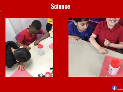 Image of Curriculum - Science - Magnets