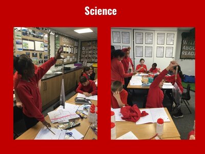 Image of Curriculum - Science - Mass and Weight