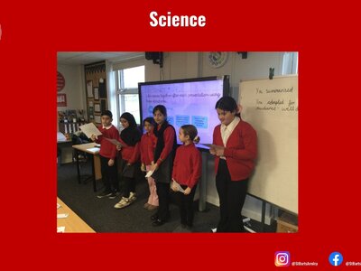 Image of Curriculum - Science - Materials & Scientists