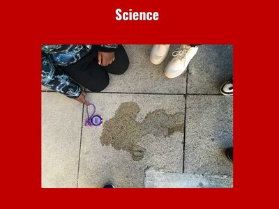 Image of Curriculum - Science - Materials & Water