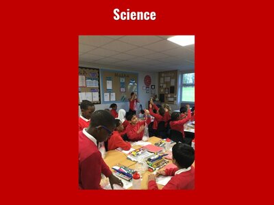 Image of Curriculum - Science - Newton Metres