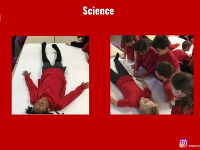Image of Curriculum - Science - Our Bodies