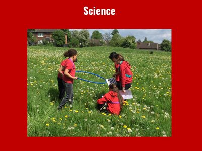 Image of Curriculum - Science - Plant Species