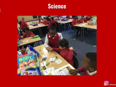 Image of Curriculum - Science - Pictures and Plants
