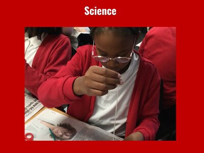 Image of Curriculum - Science - Re-Using String