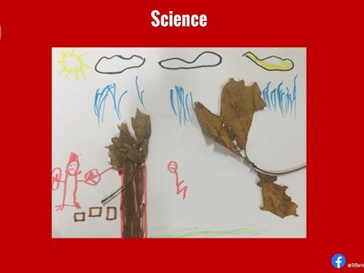 Image of Curriculum - Science - Seasonal Changes