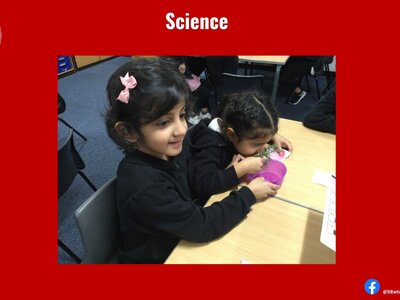 Image of Curriculum - Science - Senses
