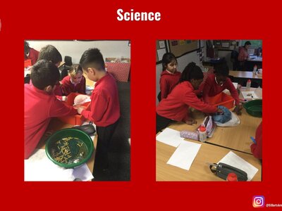 Image of Curriculum - Science - Separating Materials