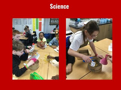 Image of Curriculum - Science - Separating Mixtures