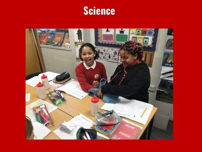 Image of Curriculum - Science - Shape