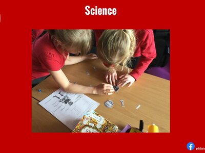 Image of Curriculum - Science - Skeletons