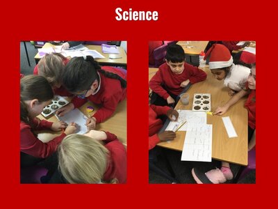 Image of Curriculum - Science - Soil Samples