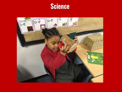 Image of Curriculum - Science - Sorting Materials