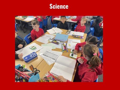 Image of Curriculum - Science - Sound