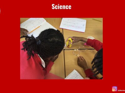 Image of Curriculum - Science - Substances and Teeth