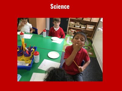 Image of Curriculum - Science - The Body and Senses