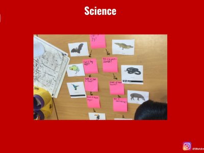 Image of Curriculum - Science - The Characteristics of Living Things