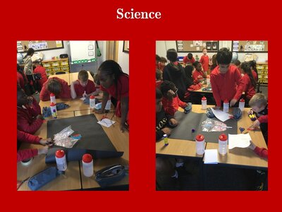 Image of Curriculum - Science - The Circulatory System Models