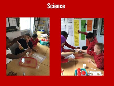 Image of Curriculum - Science - The Digestive System Experiment