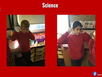 Image of Curriculum - Science - The Ear