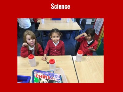 Image of Curriculum - Science - The Five Senses