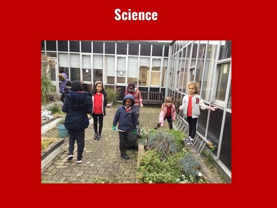 Image of Curriculum - Science - The Wildlife Garden Club