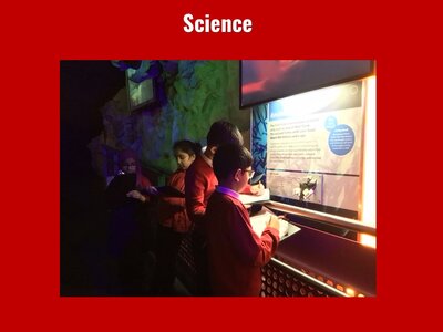 Image of Curriculum - Science - Trip to The Deep