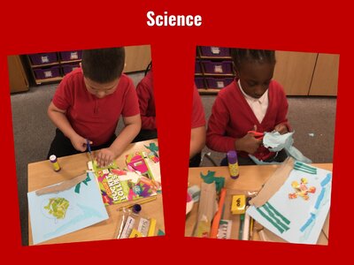 Image of Curriculum - Science - Underwater Scenes