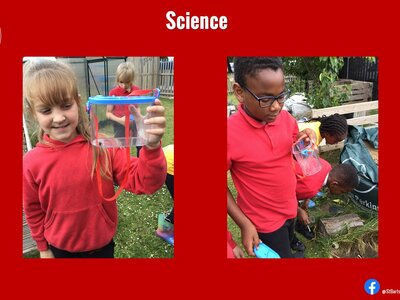 Image of Curriculum - Science - Wildlife Club