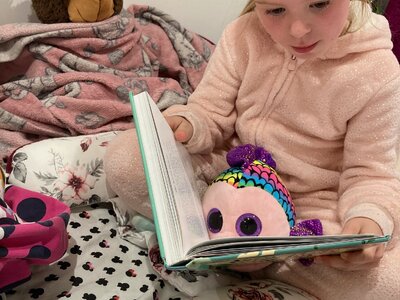 Image of KS1 - Reading Rucksacks (05.07.2022)