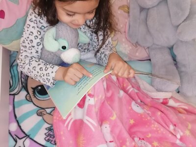 Image of KS1 - Reading Rucksacks (09.05.2022)