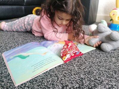 Image of KS1 - Reading Rucksacks (09.05.2022)