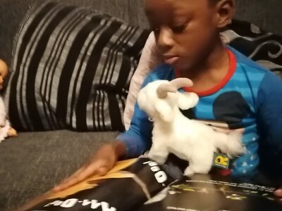 Image of KS1 - Reading Rucksacks (18.05.2022)