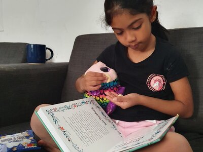 Image of KS1 - Reading Rucksacks (19.07.2022)