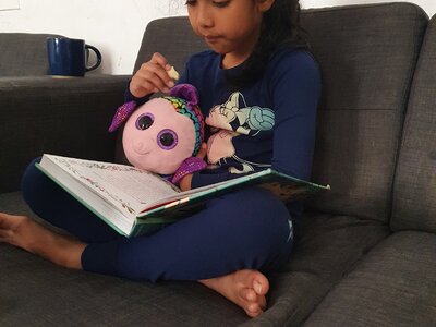 Image of KS1 - Reading Rucksacks (19.07.2022)