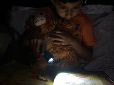 Image of KS1 - Reading Rucksacks (20.06.2022)