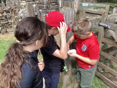 Image of Lineham Farm (Class 13 & Class 14) - Orienteering