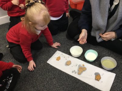 Image of Nursery - Exploring Materials and Textures