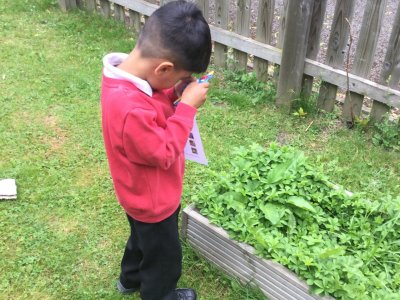 Image of Nursery - Garden Trip