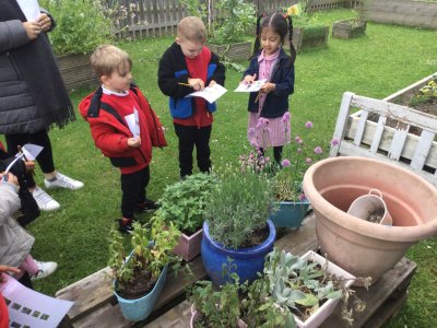 Image of Nursery - Garden Trip