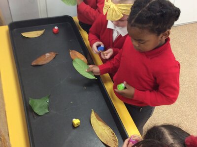 Image of Nursery - Learning about Autumn