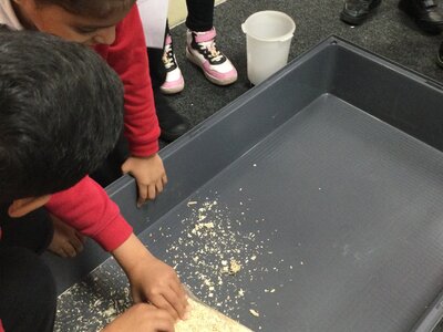Image of Reception - Chicks Hatching