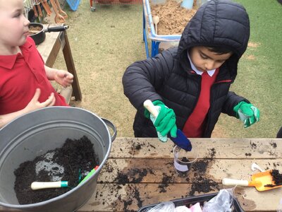 Image of Reception (Class 2) - Science - Planting Beans