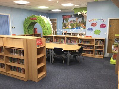 Image of The School Library