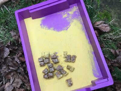 Image of Gardening & Wildlife Club - Motion Camera