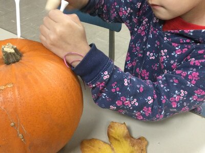 Image of Year 1 - Autumn Activities